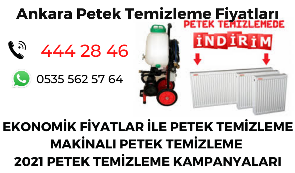 Ankara Petek Temizleme Fiyatları 