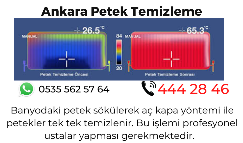 Ankara Petek Temizleme 