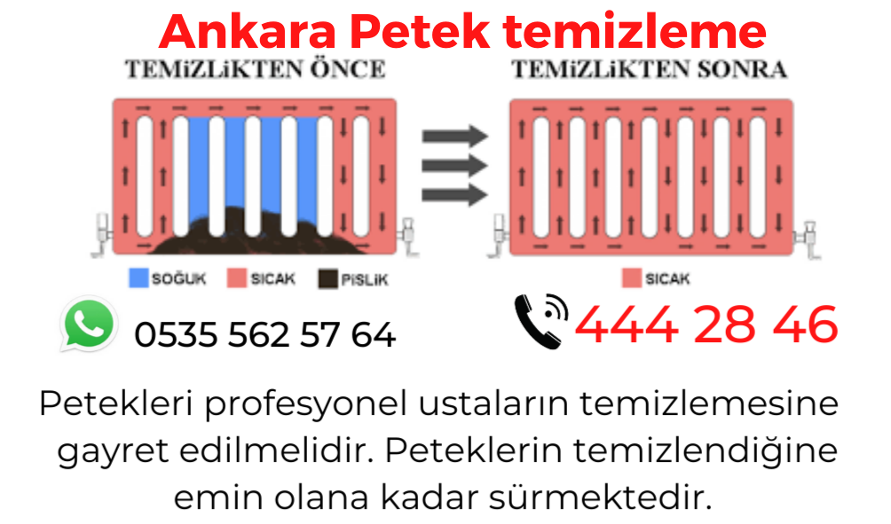 Ankara Petek temizleme 