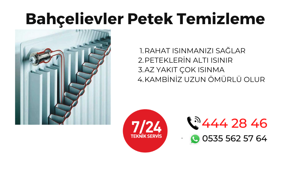 Bahçelievler Petek Temizleme