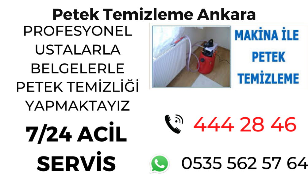 Petek Temizleme Ankara 