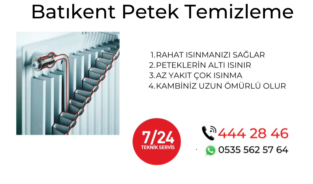  Batıkent Petek Temizleme